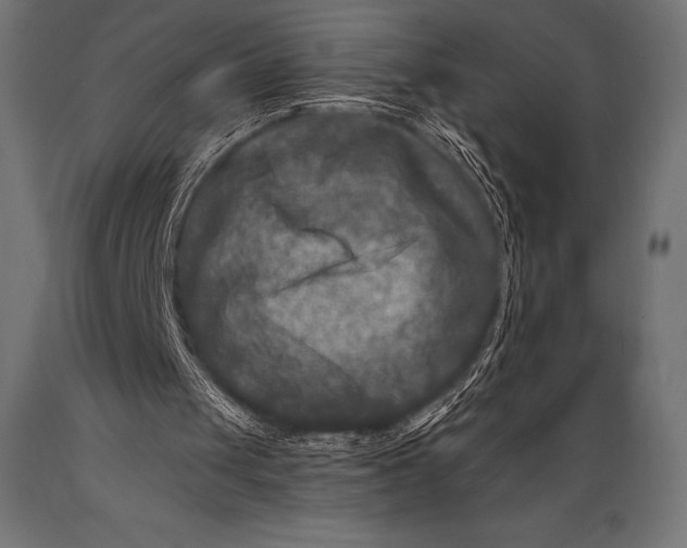 X0000088880049200706291613