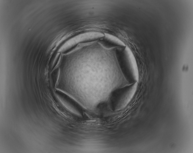 X0000088880050200706291613