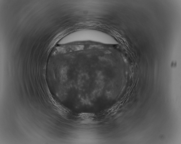 X0000088880051200706291613