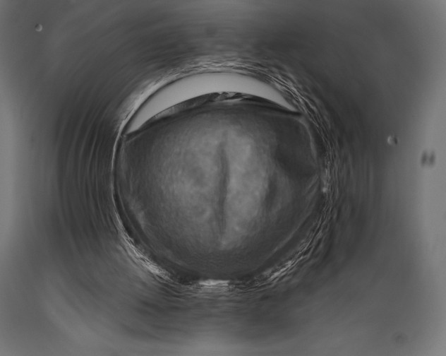 X0000088880052200706291613