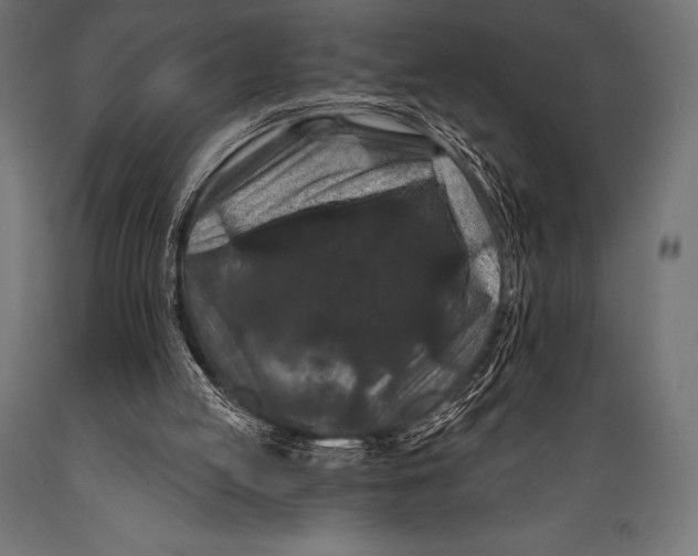 X0000088880053200706291613