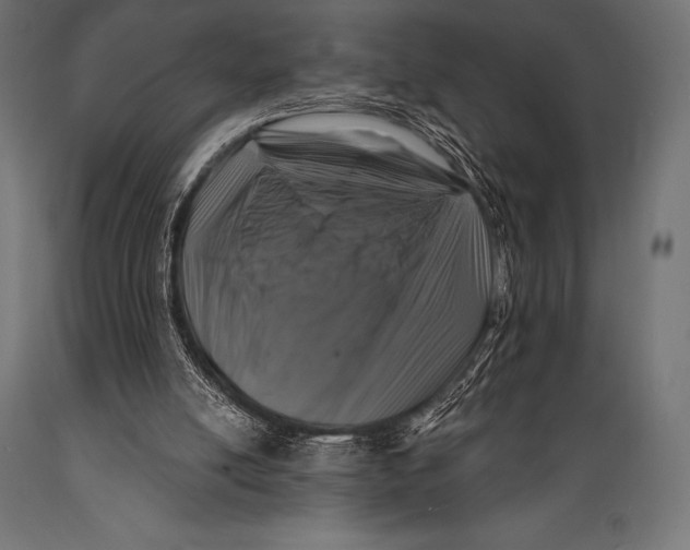 X0000088880054200706291613