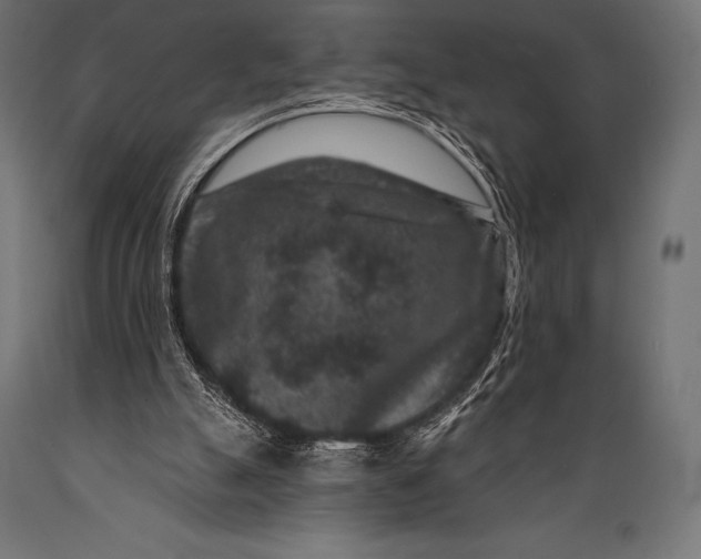 X0000088880055200706291613