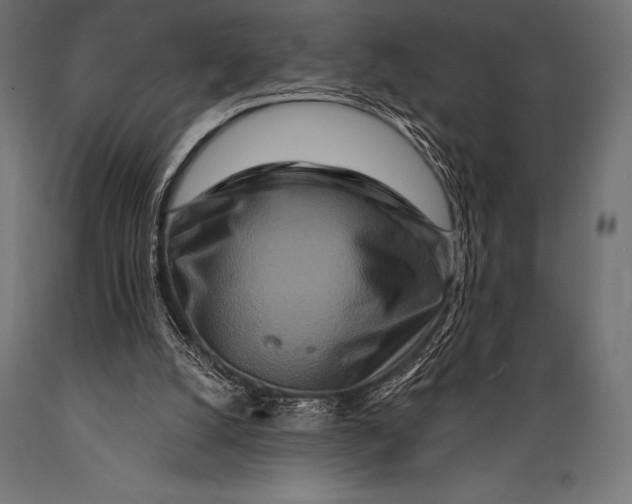 X0000088880056200706291613