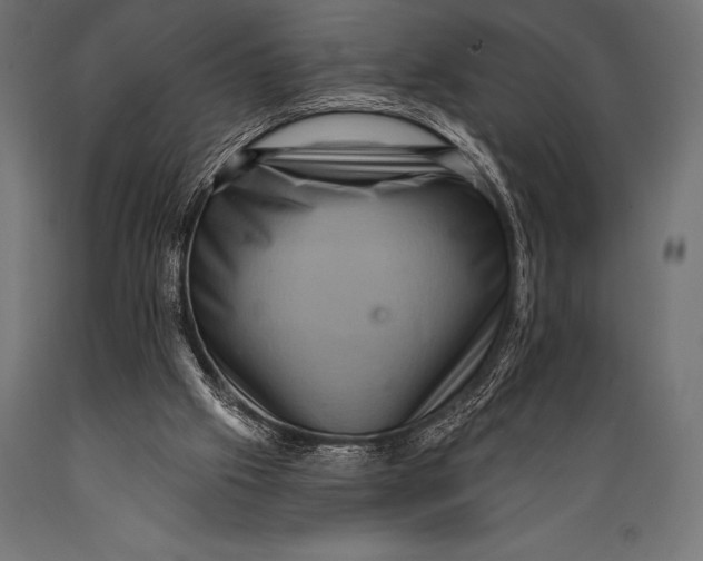 X0000088880057200706291613