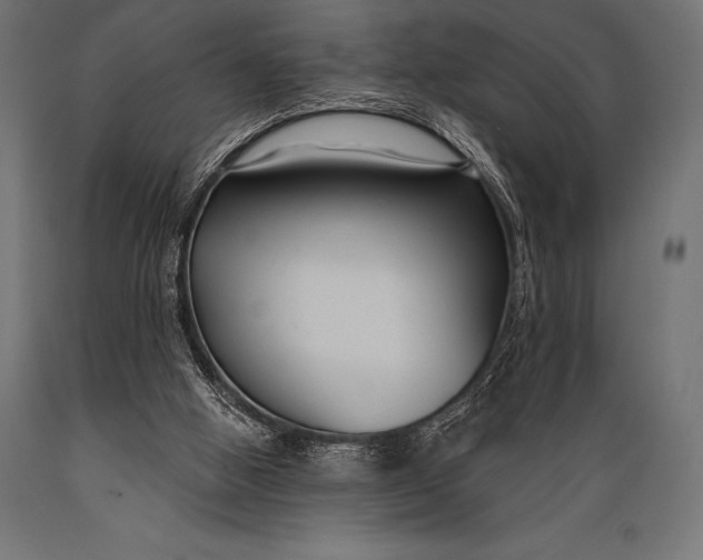 X0000088880058200706291613