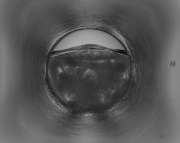 X0000088880059200706291613