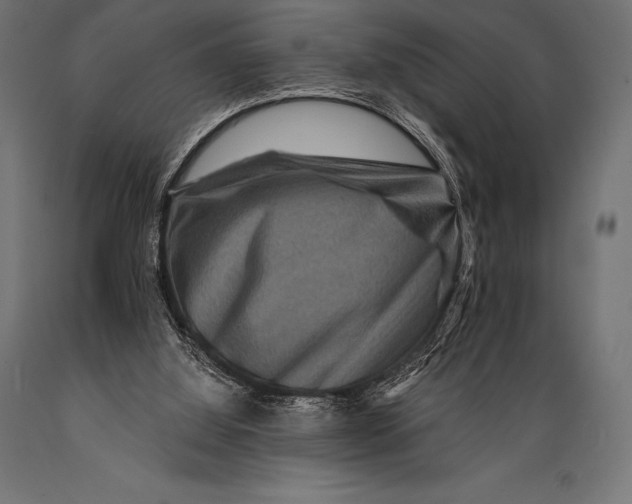 X0000088880060200706291613
