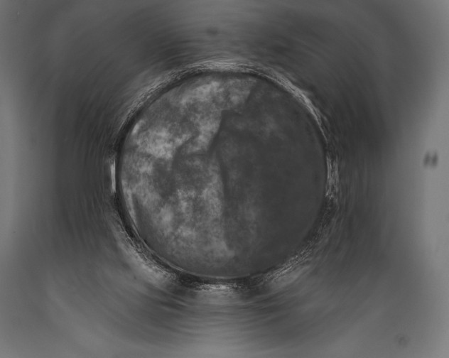 X0000088880061200706291613