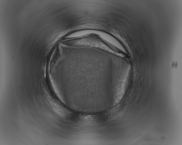 X0000088880062200706291613