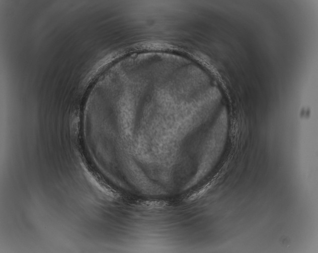 X0000088880063200706291613