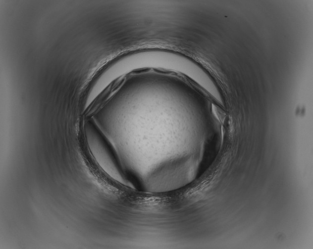 X0000088880064200706291613