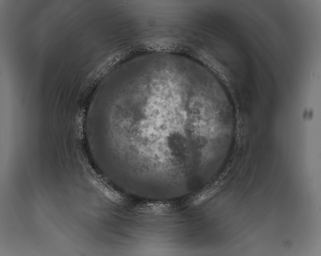 X0000088880065200706291613