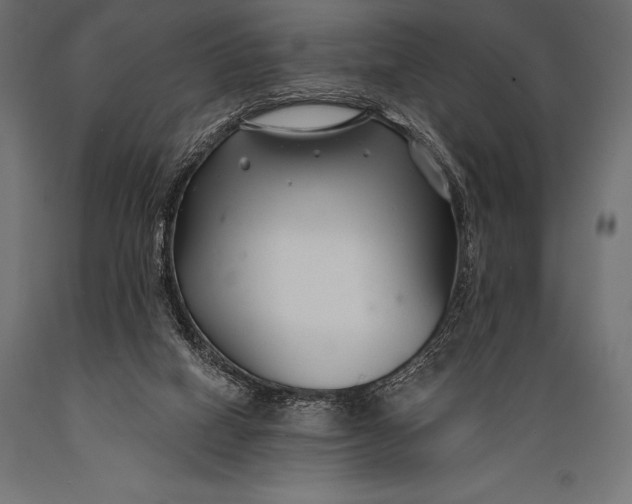 X0000088880066200706291613
