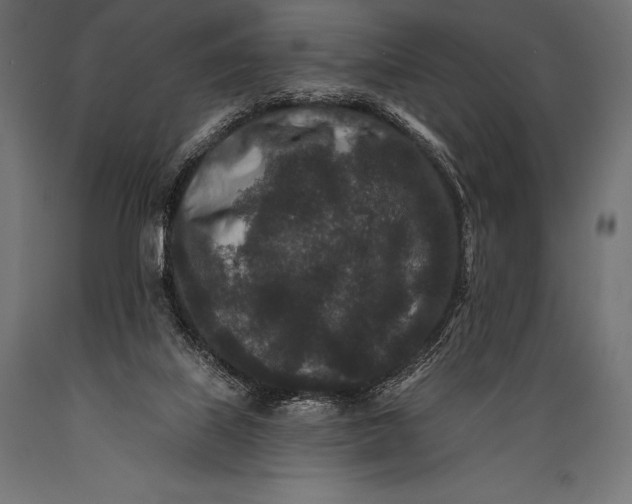 X0000088880067200706291613