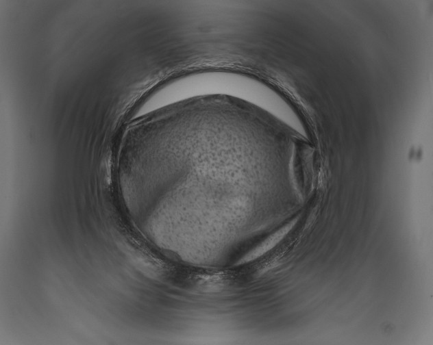 X0000088880068200706291613