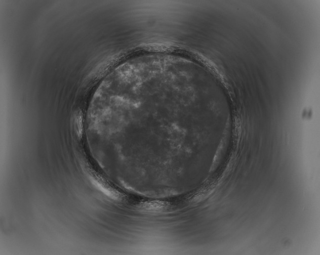 X0000088880069200706291613