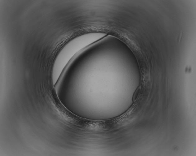 X0000088880070200706291613