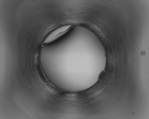 X0000088880071200706291613