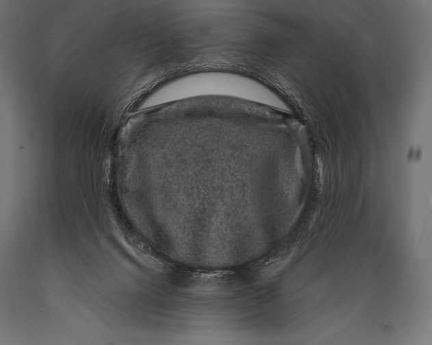 X0000088880072200706291613