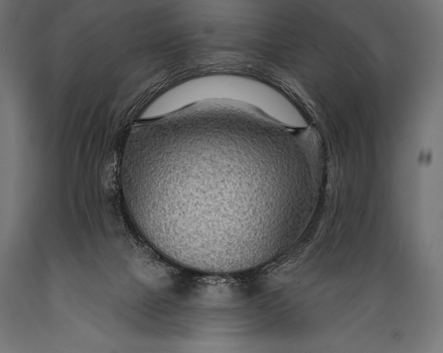 X0000088880073200706291613