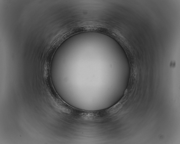 X0000088880074200706291613