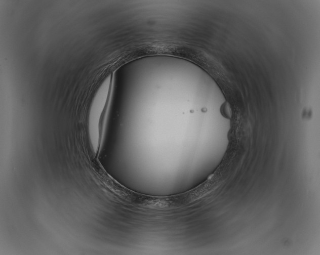 X0000088880075200706291613