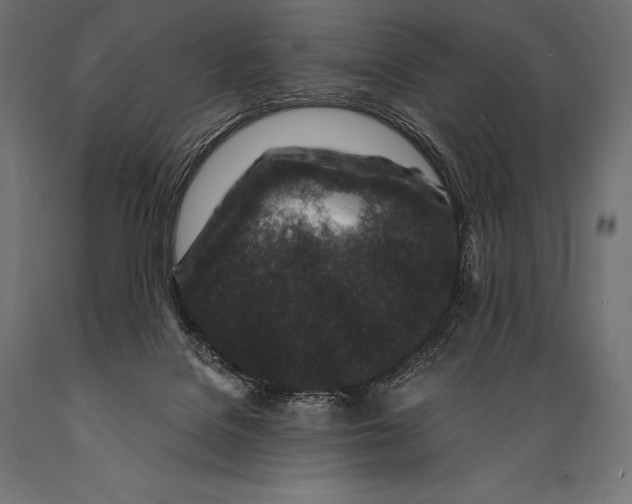 X0000088880076200706291613