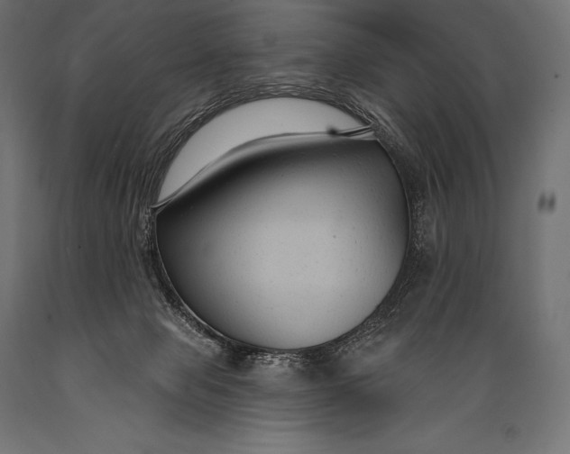 X0000088880077200706291613