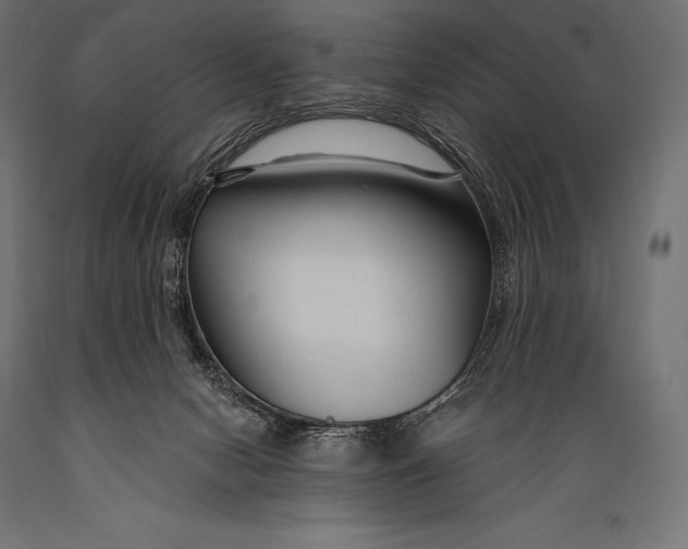 X0000088880078200706291613