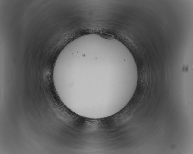 X0000088880079200706291613