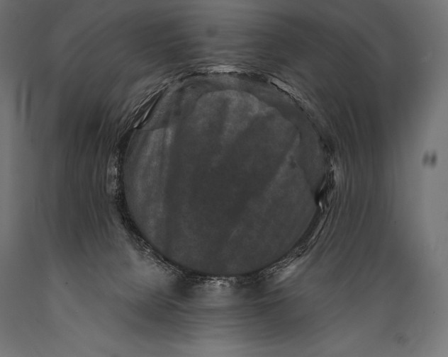 X0000088880080200706291613