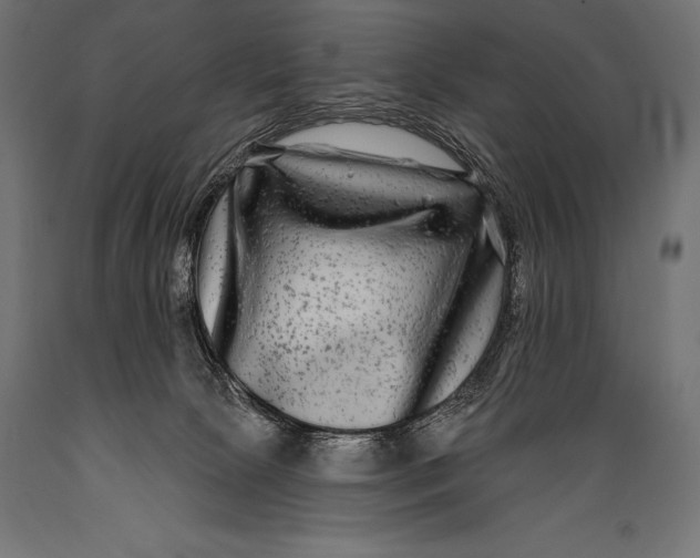 X0000088880081200706291613