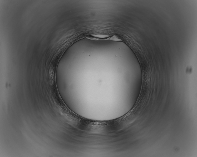X0000088880082200706291613