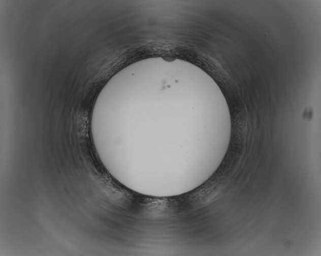 X0000088880083200706291613