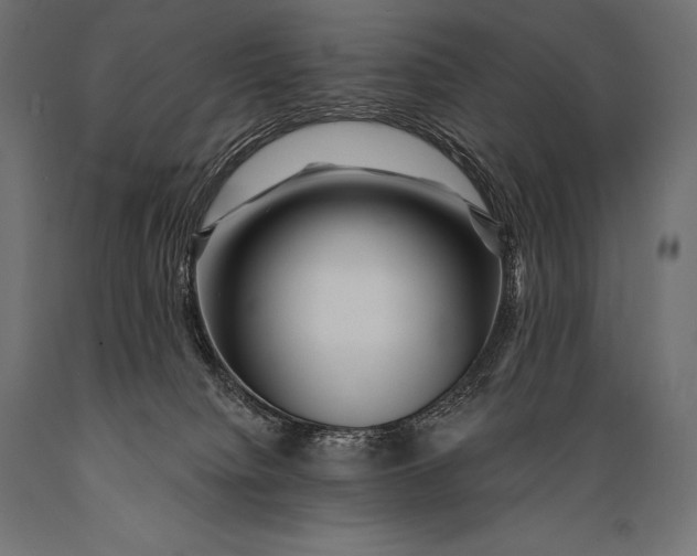 X0000088880084200706291613