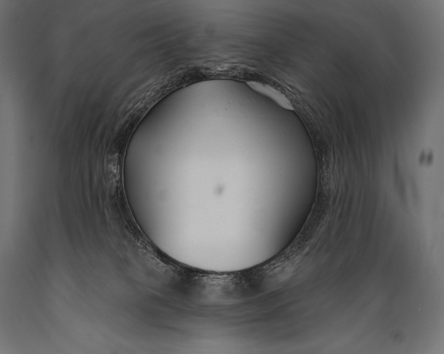 X0000088880085200706291613