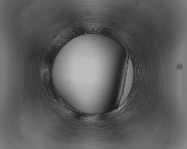 X0000088880086200706291613