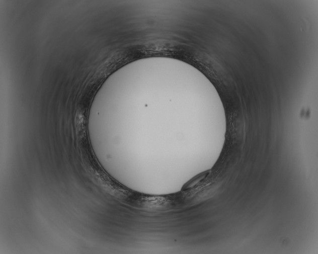X0000088880087200706291613