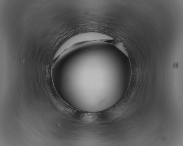X0000088880088200706291613