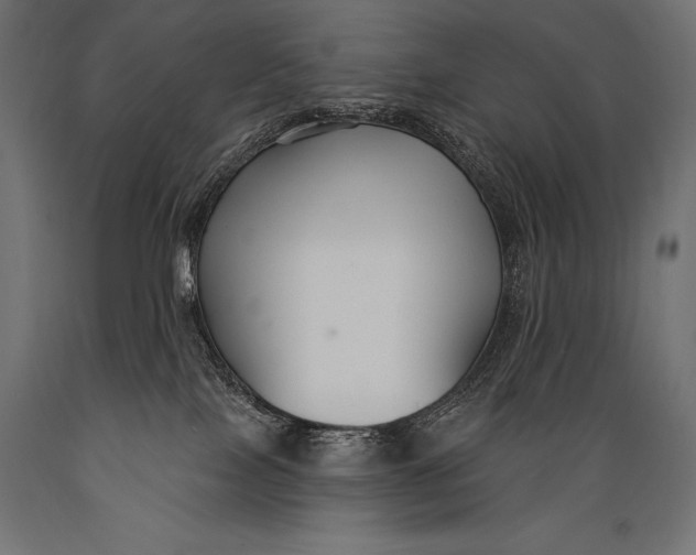 X0000088880089200706291613
