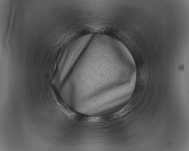 X0000088880090200706291613