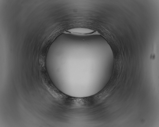 X0000088880091200706291613