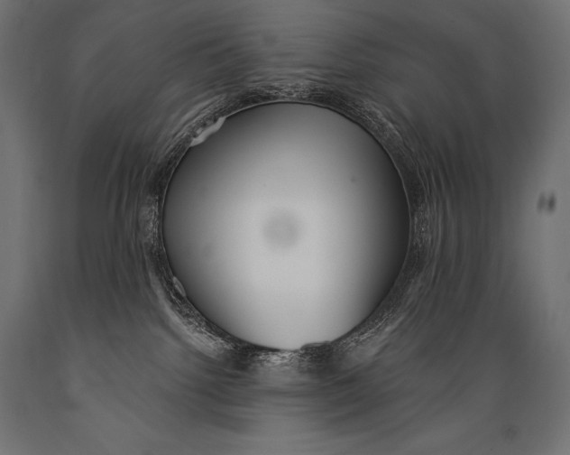 X0000088880092200706291613