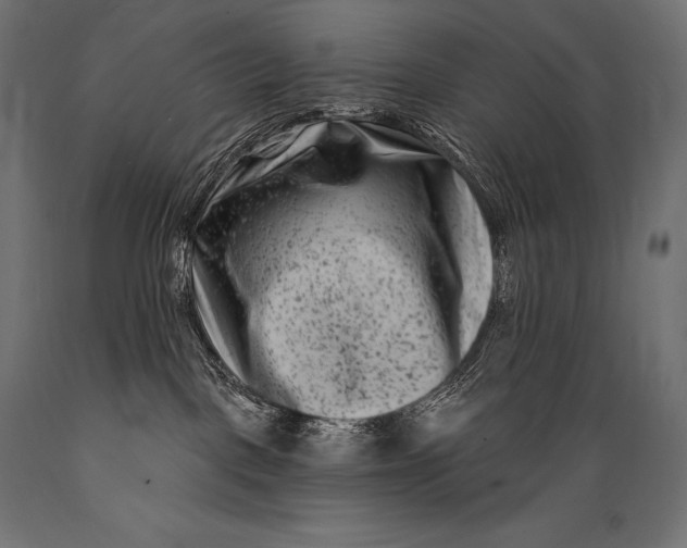 X0000088880093200706291613