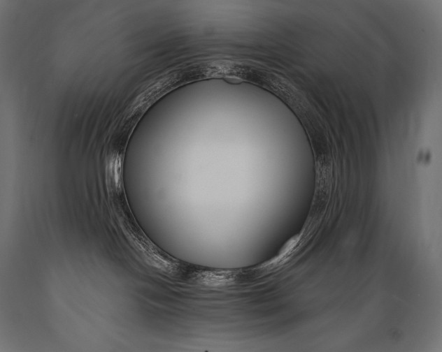 X0000088880094200706291613