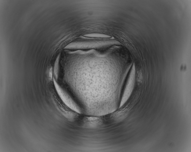 X0000088880095200706291613