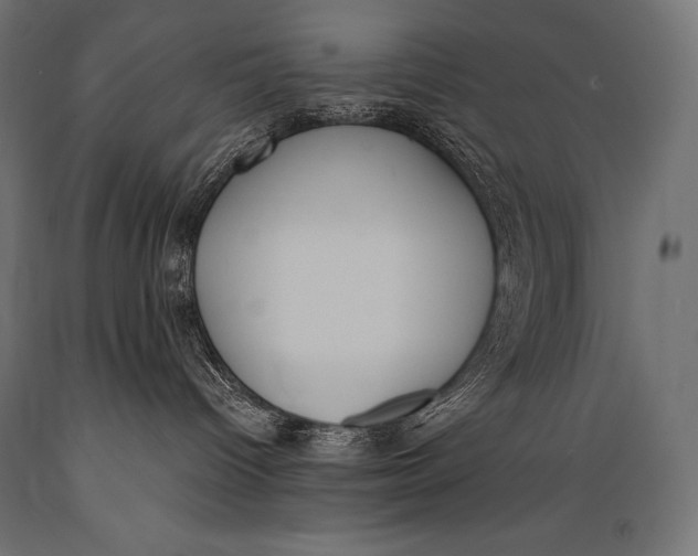 X0000088880096200706291613
