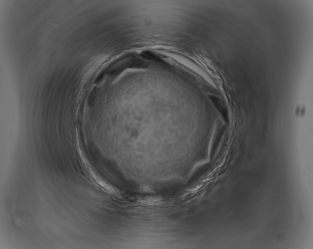 X0000088880097200706291613