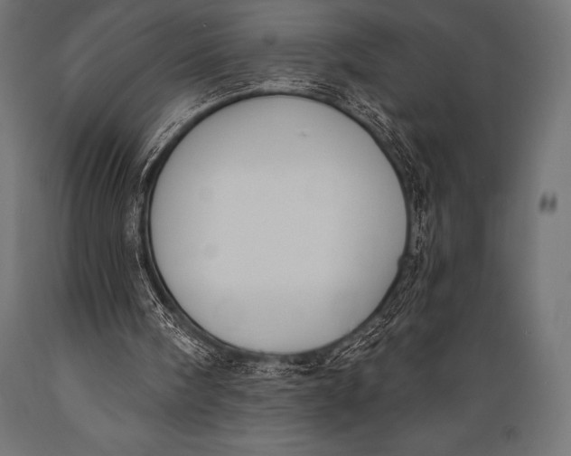 X0000088880098200706291613